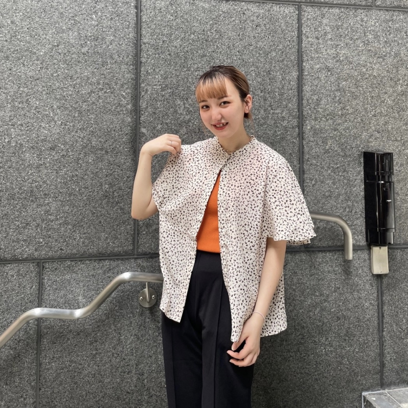 new arrival