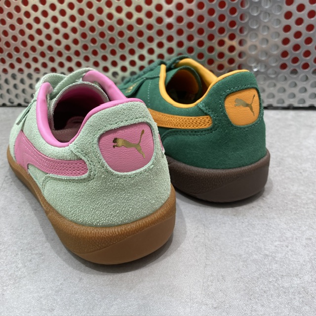 🩷PUMA PALERMO💚