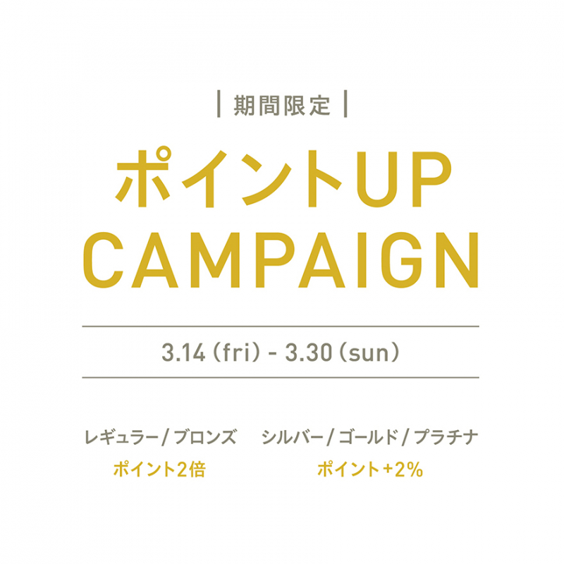 ポイントUPキャンペーン！