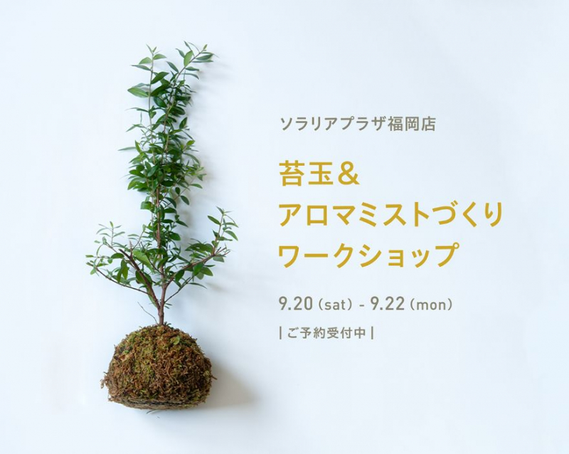 9/20（土）～9/22（月）苔玉＆アロマミストづくりワークショップ